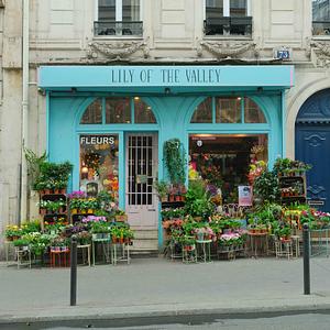 Lily of the Valley 